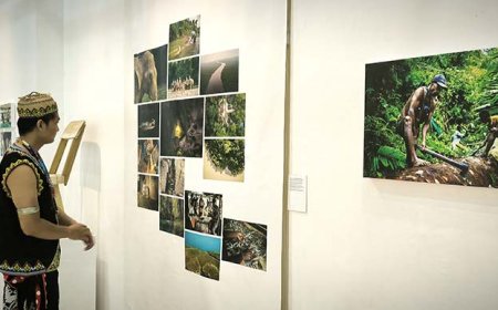 Garam Hitam dari Rawa-rawa Papua, Inovasi Ekonomi Hijau dalam Pameran Foto Fambi Mait Teme