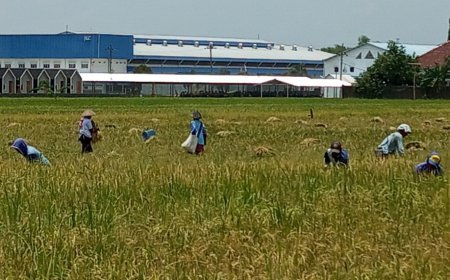 Pemdes Bulurejo Juwiring Terapkan Block System 