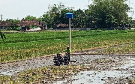 Cegah Hama Tikus, Pemdes Bowan Klaten akan Menambah Sepuluh Unit Rubuha
