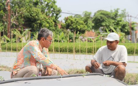 Belajar dari Subiyanto, Mantan Buruh Pabrik Hidupnya Mapan Jadi Petani Milenial