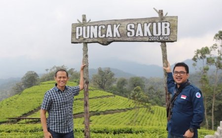 Indahnya Puncak Sakub, Hijau Kebun Teh Sejauh Mata Memandang