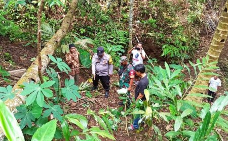 Lansia Penderes Nira Ditemukan Meninggal, Jatuh dari Ketinggian 12 Meter