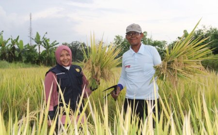 Program Sleman Kawasan Pertanian Sehat Menguntungkan Petani