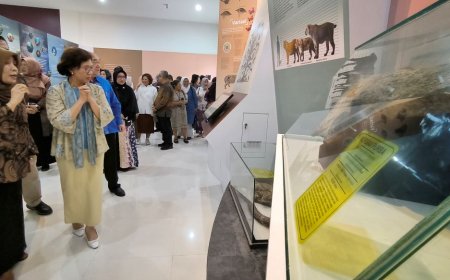 Museum Bio-Paleoantropologi UGM Simpan Fosil Manusia Purba Indonesia yang Kembali dari Amerika