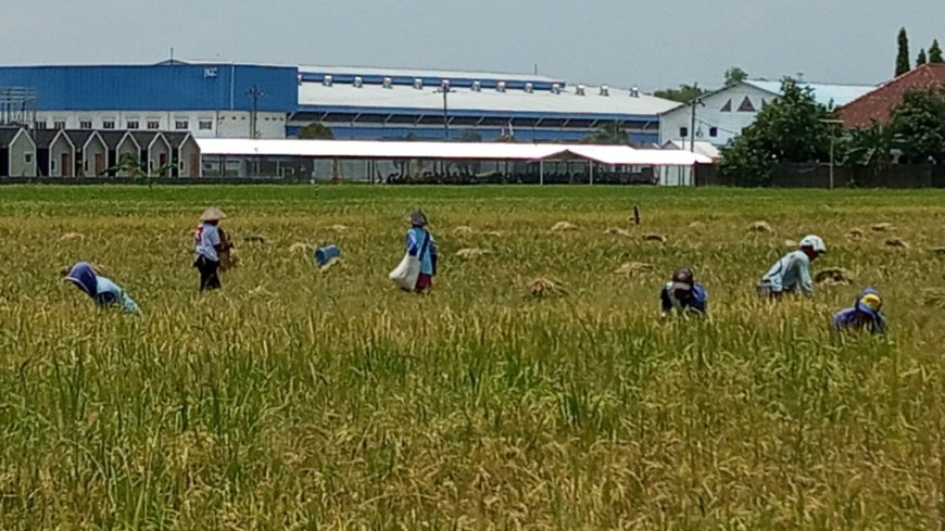Pemdes Bulurejo Juwiring Terapkan Block System 