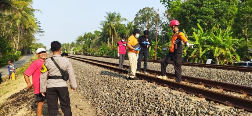 Seorang Petani Temon Kulonprogo Meninggal Tertabrak KA Taksaka