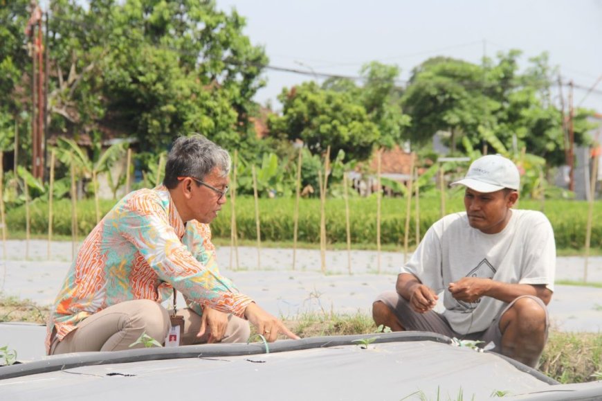 Belajar dari Subiyanto, Mantan Buruh Pabrik Hidupnya Mapan Jadi Petani Milenial