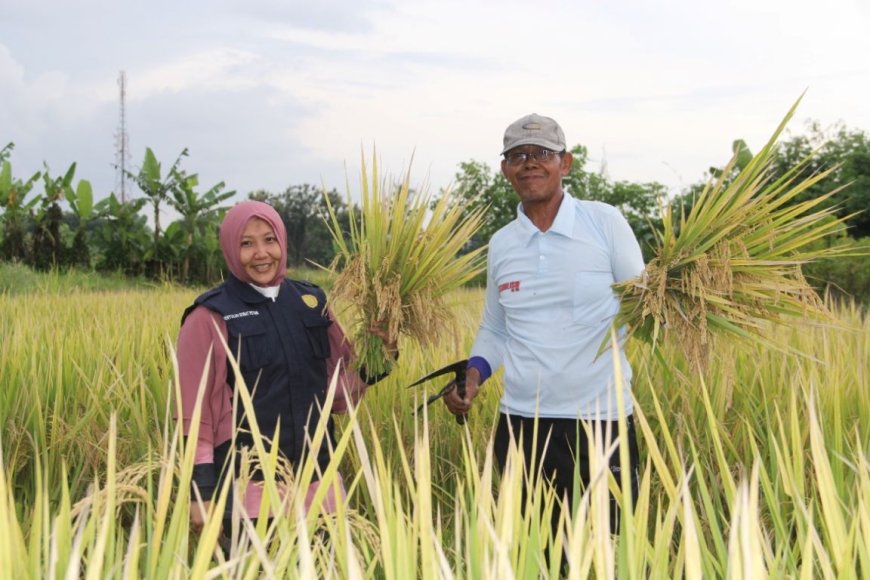 Program Sleman Kawasan Pertanian Sehat Menguntungkan Petani