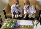 DP3 Sleman Uji Cepat Residu Pestisida Anggur Muscat, Hasilnya?