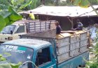 Sampah Membeludak di TPS 3R Jatibening Bantul Akhirnya Divakuasi