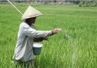 Catat Tanggalnya, Ini Kesempatan Petani Mendaftar Pupuk Subsidi Tahun 2025
