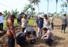 Polda DIY dan Polres Kulonprogo Tanam Padi Tahap II, Dukung Ketahanan Pangan
