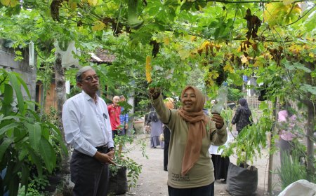 Lahan Pekarangan Sumber Pangan, DP3 Sleman Dorong Pembentukan KWT