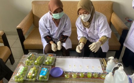 DP3 Sleman Uji Cepat Residu Pestisida Anggur Muscat, Hasilnya?