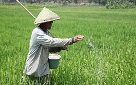 Catat Tanggalnya, Ini Kesempatan Petani Mendaftar Pupuk Subsidi Tahun 2025