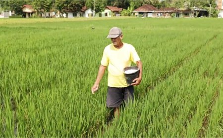 DP3 Optimis Selesaikan Usulan Pupuk Bersubsidi 2025 Tepat Waktu