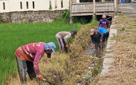 Cegah Banjir, Pemerintah Desa Krecek Klaten Membersihkan Saluran Irigasi