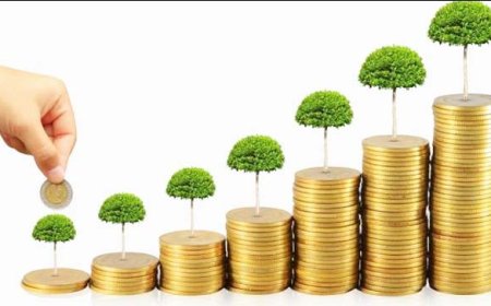 Pendapatan Negara dari Deviden BUMN Tercapai 100 Persen, Senilai Rp 85,5 Triliun
