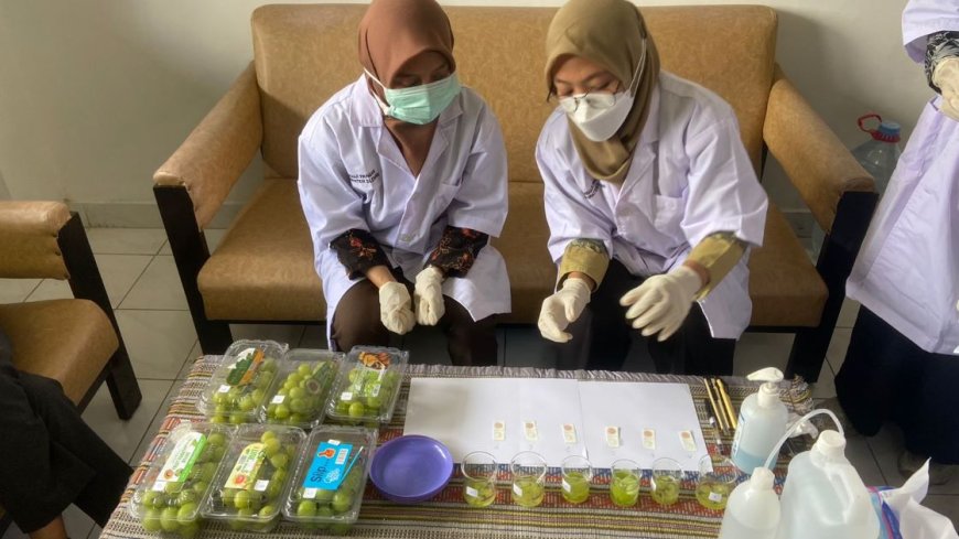 DP3 Sleman Uji Cepat Residu Pestisida Anggur Muscat, Hasilnya?
