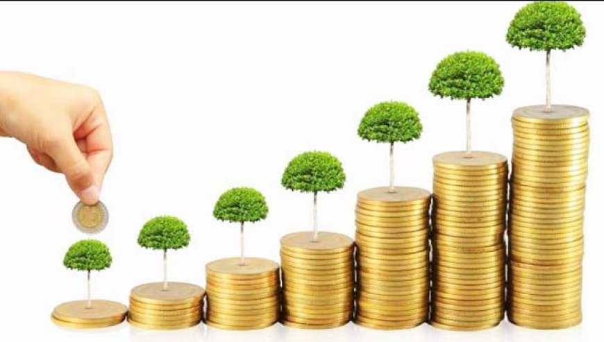 Pendapatan Negara dari Deviden BUMN Tercapai 100 Persen, Senilai Rp 85,5 Triliun