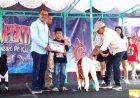 DKPP Bantul Gelar Kontes Kambing PE Kaligesing