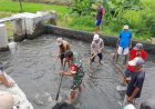 Danramil Wonosari Bersama Petani Membersihkan Saluran Irigasi di Desa Sekaran