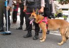 Polres Purworejo Kerahkan Anjing Pelacak Ras Belgia