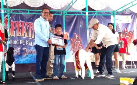 DKPP Bantul Gelar Kontes Kambing PE Kaligesing