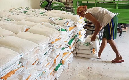 Badan Pangan Nasional Salurkan Bantuan Pangan Alokasi Desember 2024
