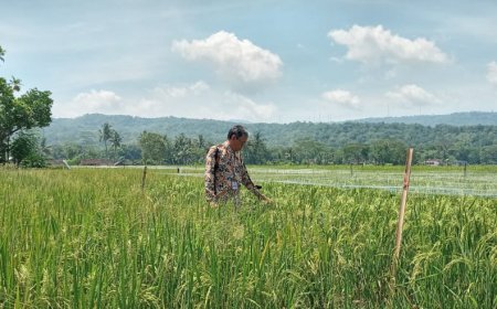 DP3 Sleman Siapkan Strategi Mitigasi Dampak Perubahan Iklim