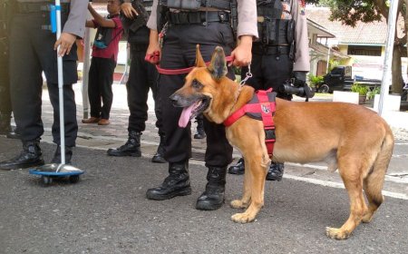 Polres Purworejo Kerahkan Anjing Pelacak Ras Belgia