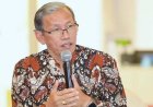 Ratusan Hektar Lahan Sawah Jadi Korban Tikus, Tiga Kapanewon Paling Parah