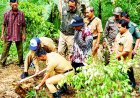 Keberadaan Pohon Tua Bikin Was-was, Sunaryanta Pimpin Konservasi Umbul Ngetuk