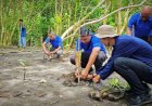 Ramada by Wyndham Tanam 200 Mangrove di Kawasan Konservasi Baros