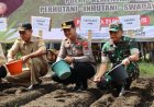 Polres Purworejo Tanam Jagung di Lahan Tumpang Sari