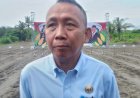 DKPP Bantul Memulai Vaksinasi, 39 Sapi Mati Terkena PMK