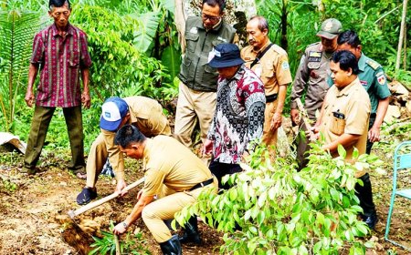 Keberadaan Pohon Tua Bikin Was-was, Sunaryanta Pimpin Konservasi Umbul Ngetuk