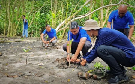 Ramada by Wyndham Tanam 200 Mangrove di Kawasan Konservasi Baros