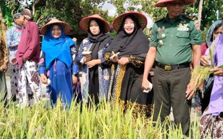 Tradisi Wiwitan Mengawali Panen Padi di Dusun Karangmojo Bantul