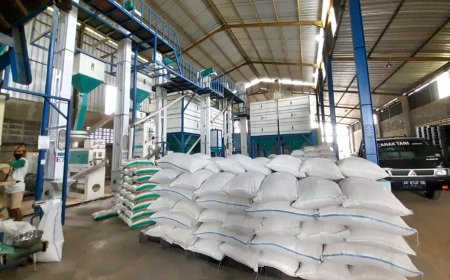DP3 Sleman Catat Serapan Beras Bulog Baru 2.882,5 Ton