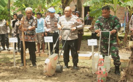 Desa Dukuh Bayat Jadi Lokasi Penanaman Jagung Serentak