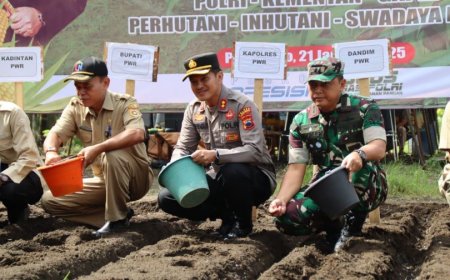 Polres Purworejo Tanam Jagung di Lahan Tumpang Sari