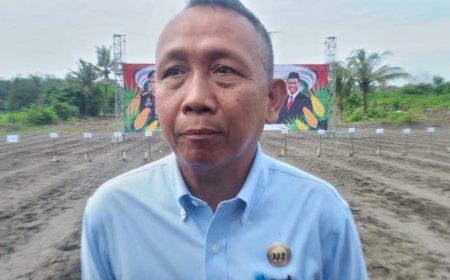 DKPP Bantul Memulai Vaksinasi, 39 Sapi Mati Terkena PMK