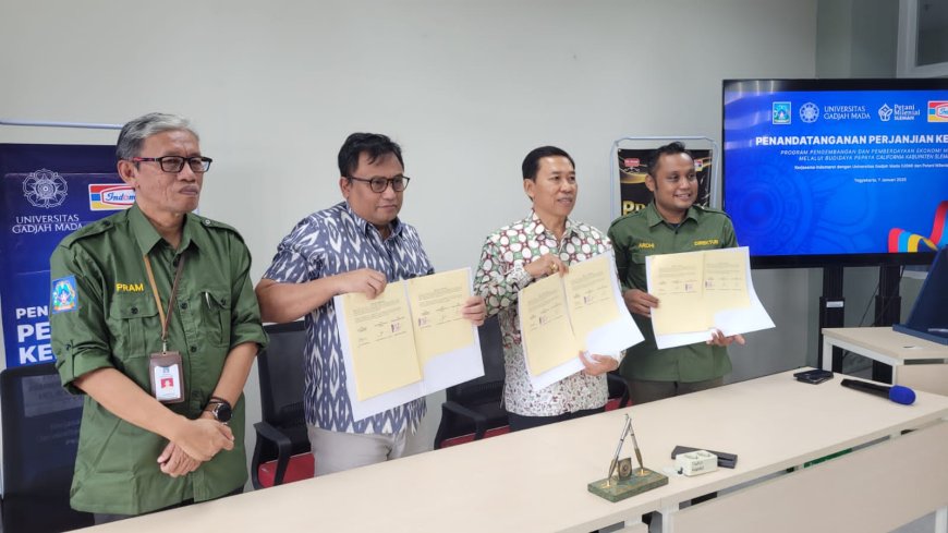 Kembangkan Pepaya California, Petani Milenial Sleman Gandeng PT Indomarco dan UGM