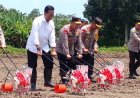 Kapolri dan Sultan HB X Tanam Jagung di Bantul