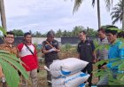 Serap Gabah Petani, Bulog Magelang Buka Tujuh Hari dalam Sepekan