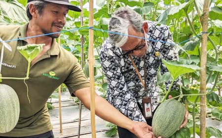 Tak Terdampak Efisiensi, Anggaran Pengembangan Usaha DP3