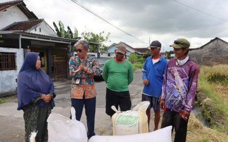 DP3 Sleman Susun Pemetaan Wilayah yang Siap Panen Padi
