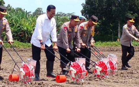 Kapolri dan Sultan HB X Tanam Jagung di Bantul