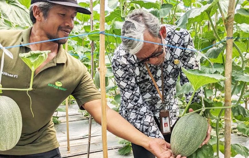 Tak Terdampak Efisiensi, Anggaran Pengembangan Usaha DP3